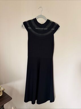 Eliza J BrandElegant Black Fit-and-Flare Dress with Sheer Panel Yoke Size Medium